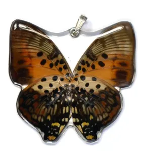 Whole Butterfly Pendant, Shining Red Charaxes